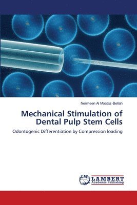 Mechanical Stimulation of Dental Pulp Stem Cells 1