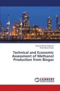 bokomslag Technical and Economic Assessment of Methanol Production from Biogas