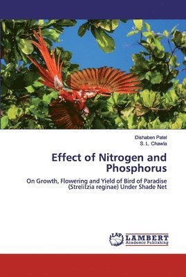 bokomslag Effect of Nitrogen and Phosphorus