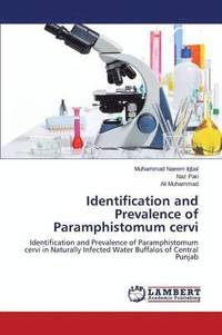 bokomslag Identification and Prevalence of Paramphistomum Cervi