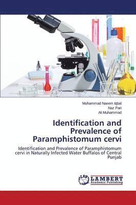 Identification and Prevalence of Paramphistomum Cervi 1