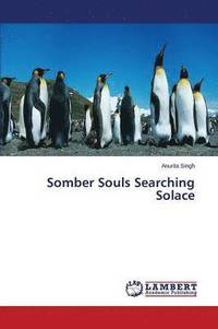 bokomslag Somber Souls Searching Solace