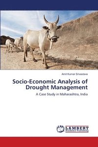 bokomslag Socio-Economic Analysis of Drought Management