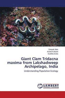 Giant Clam Tridacna Maxima from Lakshadweep Archipelago, India 1