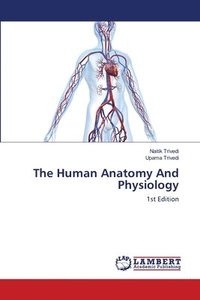bokomslag The Human Anatomy And Physiology