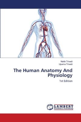 The Human Anatomy And Physiology 1