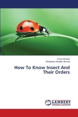 How To Know Insect And Their Orders 1
