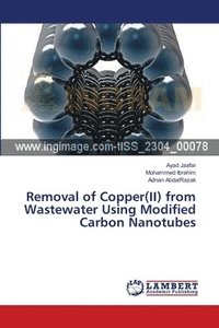 bokomslag Removal of Copper(II) from Wastewater Using Modified Carbon Nanotubes