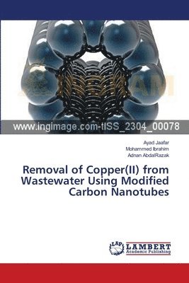 Removal of Copper(II) from Wastewater Using Modified Carbon Nanotubes 1