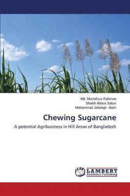 Chewing Sugarcane 1