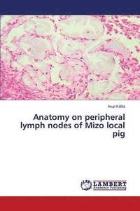 bokomslag Anatomy on Peripheral Lymph Nodes of Mizo Local Pig