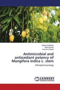 bokomslag Antimicrobial and antioxidant potency of Mangifera indica L. stem