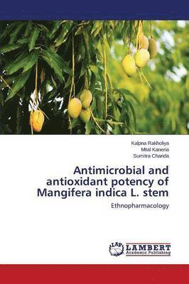 Antimicrobial and antioxidant potency of Mangifera indica L. stem 1