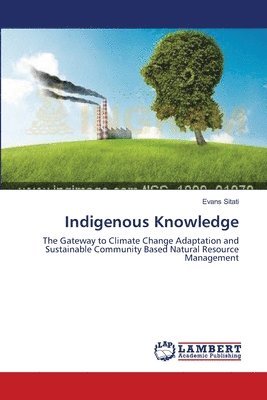 bokomslag Indigenous Knowledge