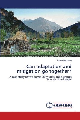 bokomslag Can adaptation and mitigation go together?