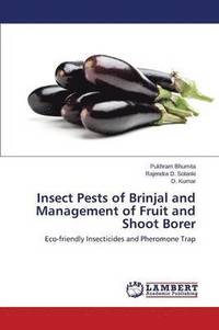 bokomslag Insect Pests of Brinjal and Management of Fruit and Shoot Borer