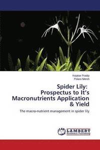 bokomslag Spider Lily