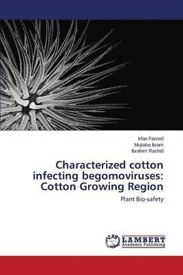 bokomslag Characterized Cotton Infecting Begomoviruses