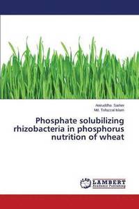 bokomslag Phosphate Solubilizing Rhizobacteria in Phosphorus Nutrition of Wheat