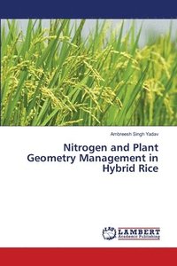 bokomslag Nitrogen and Plant Geometry Management in Hybrid Rice