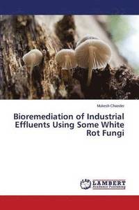 bokomslag Bioremediation of Industrial Effluents Using Some White Rot Fungi