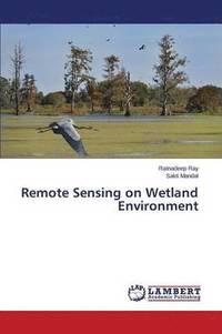 bokomslag Remote Sensing on Wetland Environment