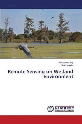 Remote Sensing on Wetland Environment 1