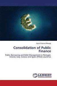 bokomslag Consolidation of Public Finance