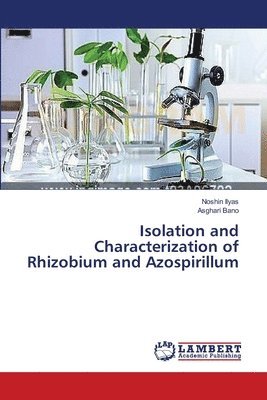 Isolation and Characterization of Rhizobium and Azospirillum 1
