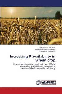 bokomslag Increasing P Availability in Wheat Crop