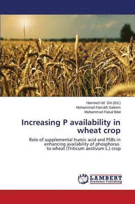 Increasing P Availability in Wheat Crop 1