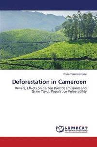 bokomslag Deforestation in Cameroon