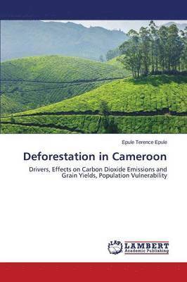 Deforestation in Cameroon 1