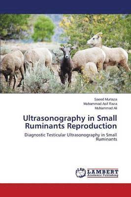 bokomslag Ultrasonography in Small Ruminants Reproduction