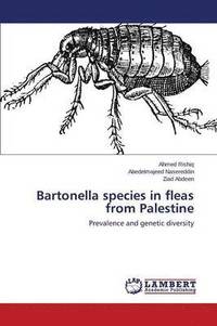 bokomslag Bartonella species in fleas from Palestine