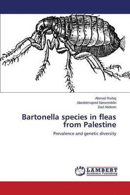 Bartonella species in fleas from Palestine 1