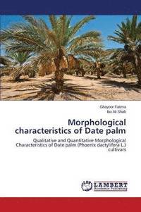 bokomslag Morphological Characteristics of Date Palm