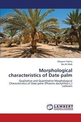 Morphological Characteristics of Date Palm 1