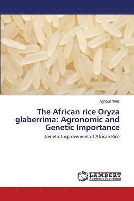 bokomslag The African Rice Oryza Glaberrima