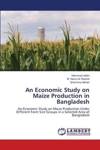 bokomslag An Economic Study on Maize Production in Bangladesh
