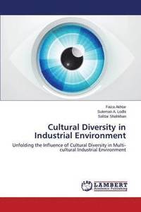 bokomslag Cultural Diversity in Industrial Environment