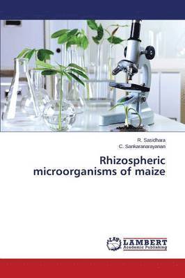 Rhizospheric Microorganisms of Maize 1