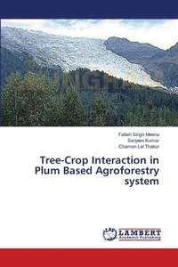 bokomslag Tree-Crop Interaction in Plum Based Agroforestry system