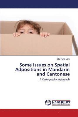 Some Issues on Spatial Adpositions in Mandarin and Cantonese 1
