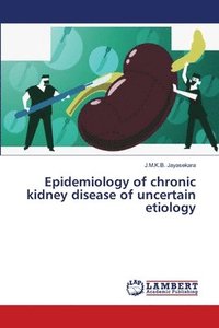 bokomslag Epidemiology of chronic kidney disease of uncertain etiology