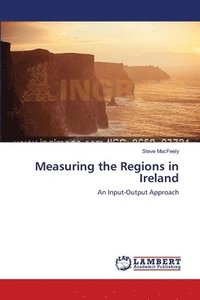 bokomslag Measuring the Regions in Ireland