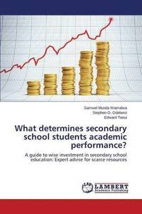 bokomslag What Determines Secondary School Students Academic Performance?