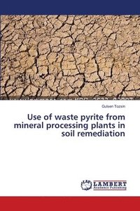 bokomslag Use of waste pyrite from mineral processing plants in soil remediation
