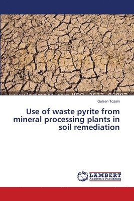 Use of waste pyrite from mineral processing plants in soil remediation 1