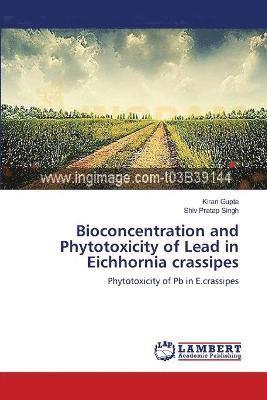 bokomslag Bioconcentration and Phytotoxicity of Lead in Eichhornia crassipes